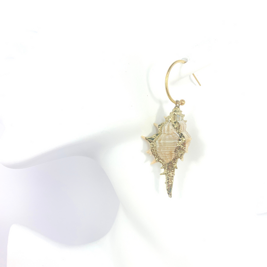 AQUATA SINGLE HOOP EARRING